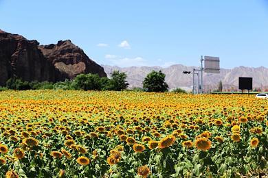 还是《命运2》重度玩家  Reddick生前玩了1400小时《命运2》