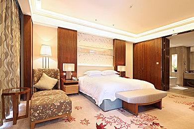 数据研究揭示最受欢迎宝可梦列表 皮卡丘没进前10