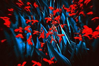 《怪猎崛起》曙光DLC全球销量突破300万大关 免费更新8月上线